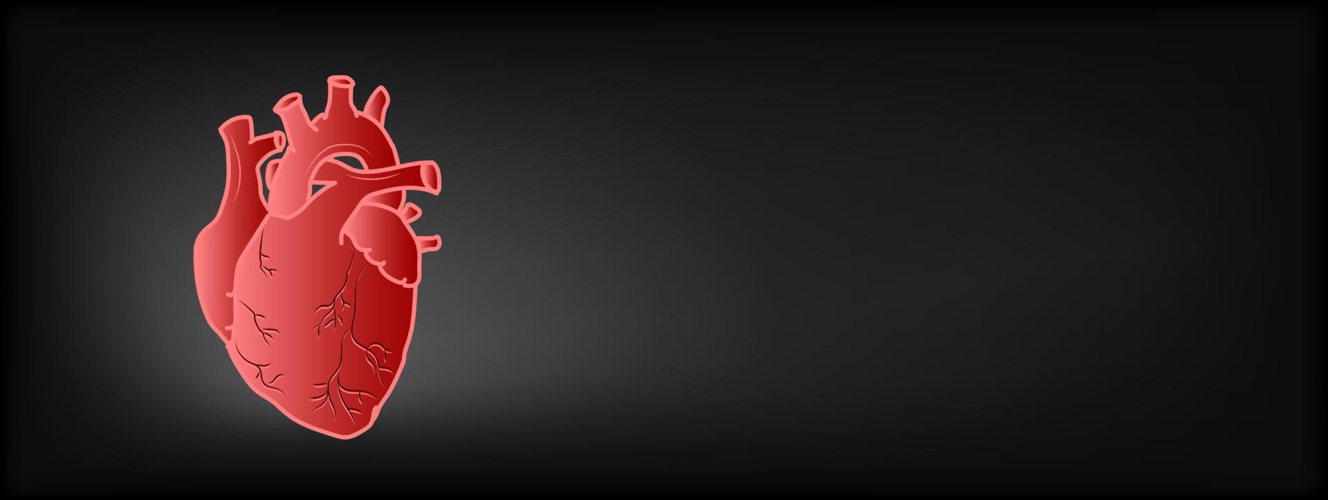 Herbal Heart Health Remedies