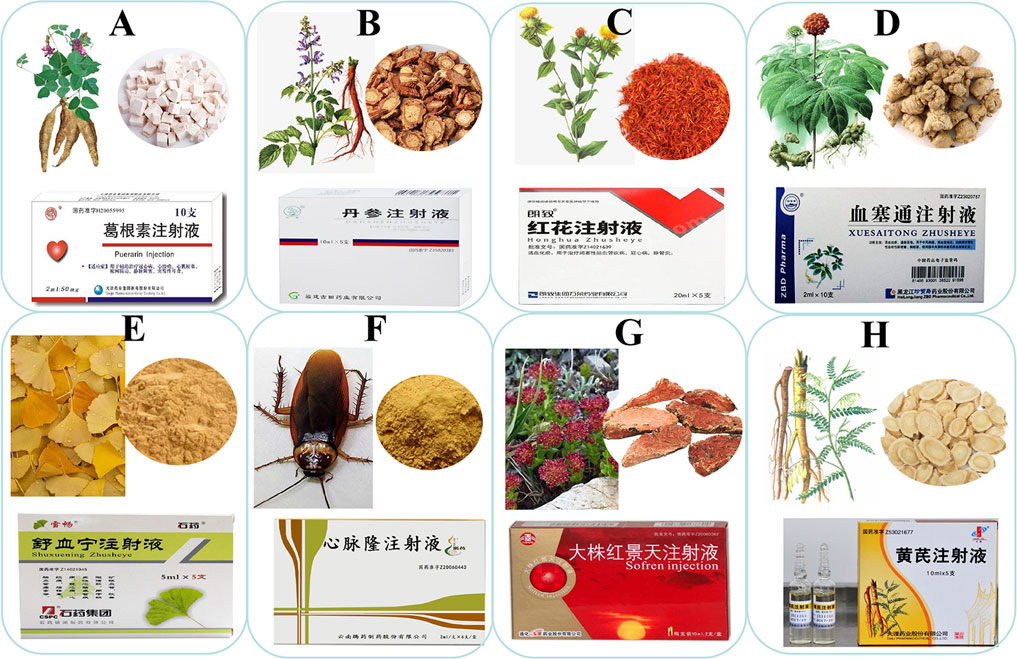 Best Chinese Herb for High Blood Pressure in 2025