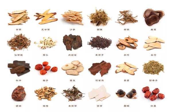  Best Chinese Herb for High Blood Pressure in 2025 