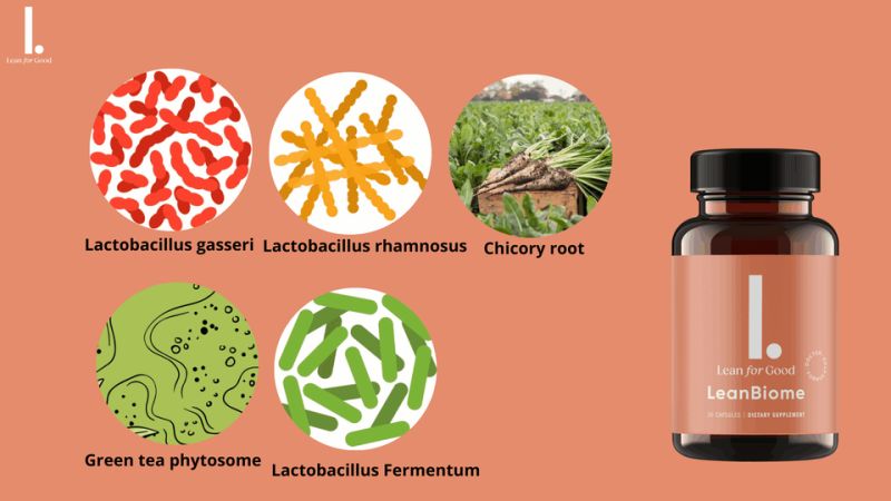 LeanBiome Review 2025