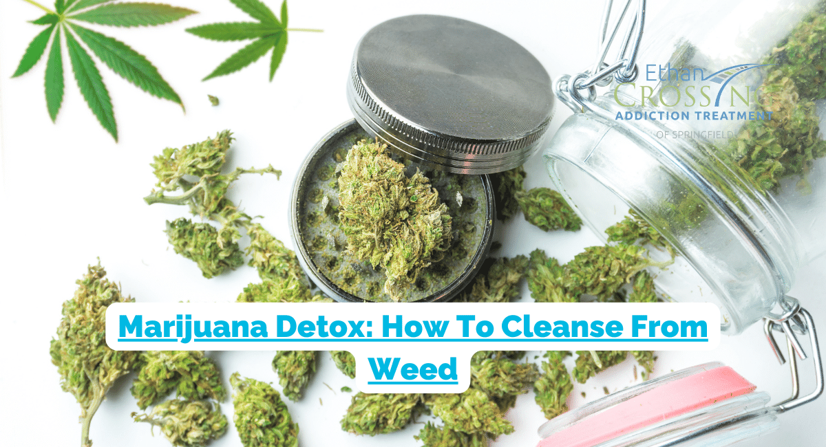 Best Detox Drink for THC