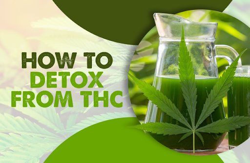 Best Detox Drink for THC