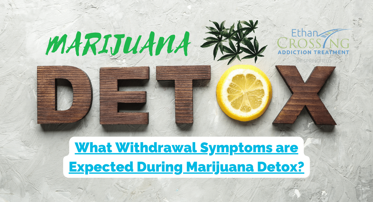 Best Detox Drink for THC