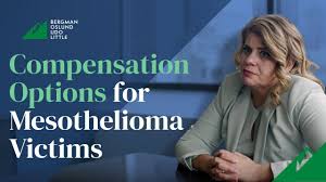 Mesothelioma Lawsuit