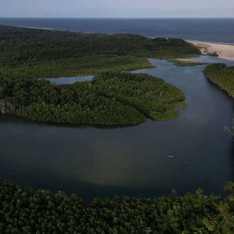 The Invisible Bridge: Sahara Dust, Amazon Life, and a 10,000-Mile Nutrient Journey